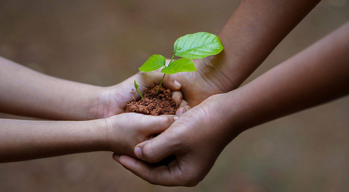 medioambiente